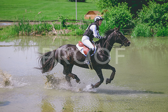 TLS_3361