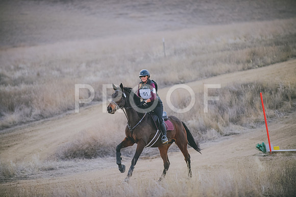 JJS_5478