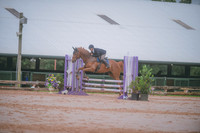 000_3171 copy