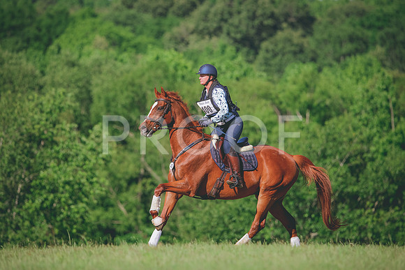 RWP_2935