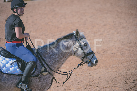 JJS_8038