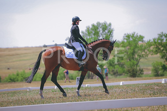 402A0295