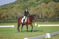 APP_2965