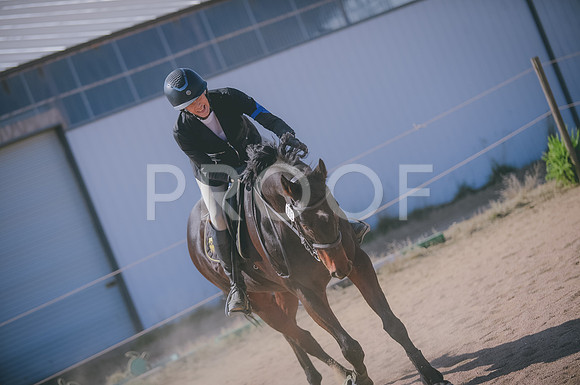 JJS_6954