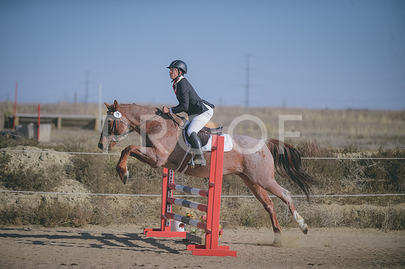 JJS_1476