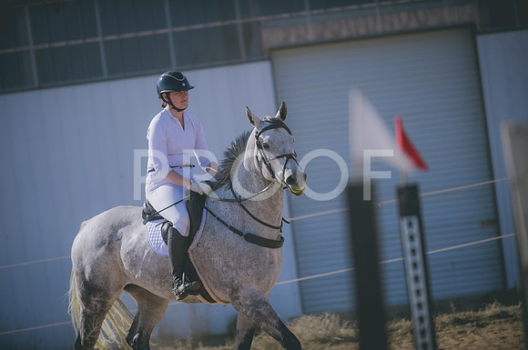 JJS_2599