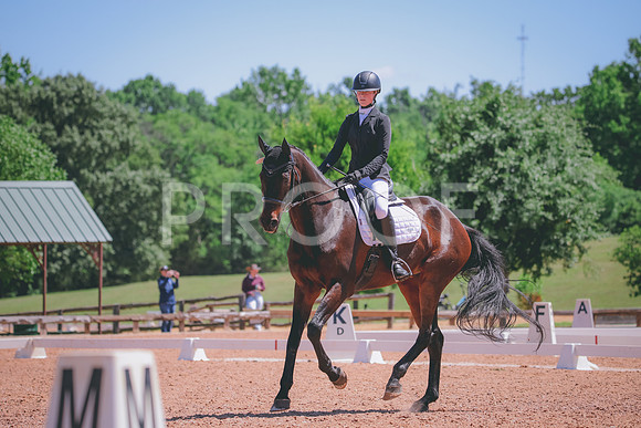 RWP_0295