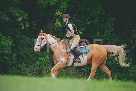 RWP_4978