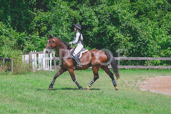 DSC_6189