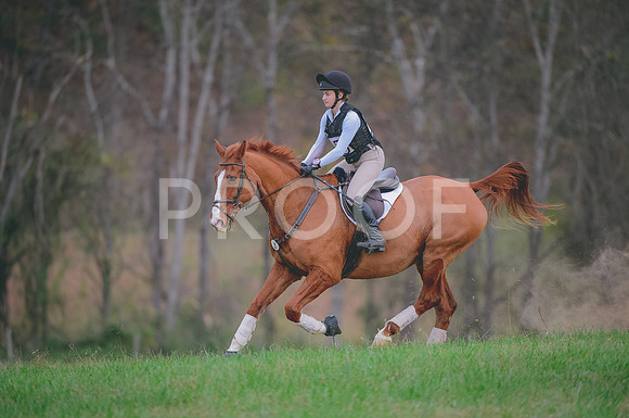 JJS_1029A