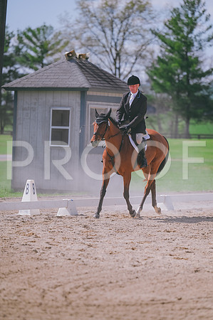 DSC_0349 copy