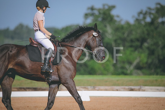 RWP_4622