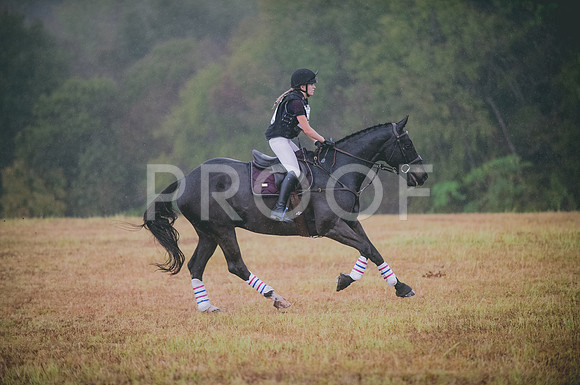 JJS_3504