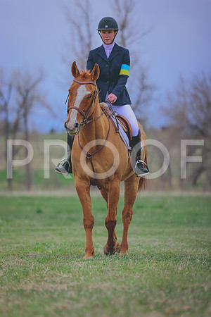 DA8A3056
