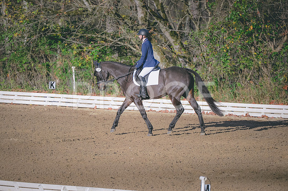 JJS_3845