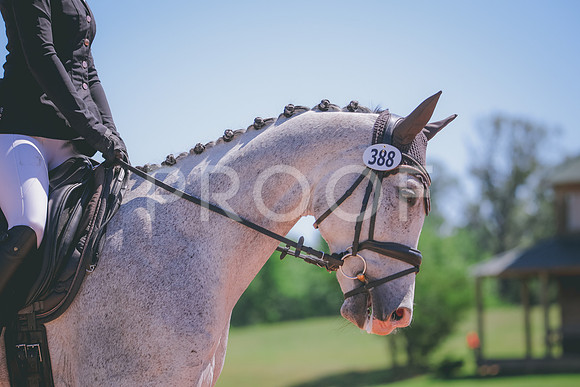RWP_0176