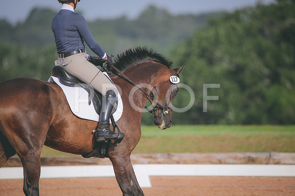 RWP_4370