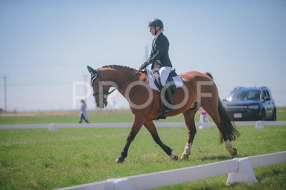 JJS_4247
