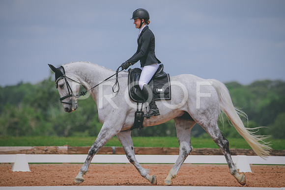 RWP_4341