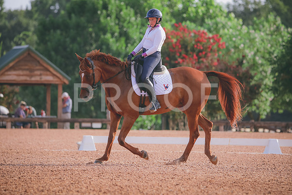 RWP_4273