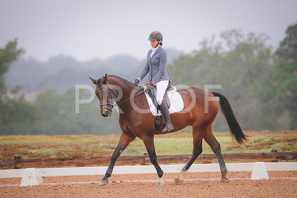 RWP_1074