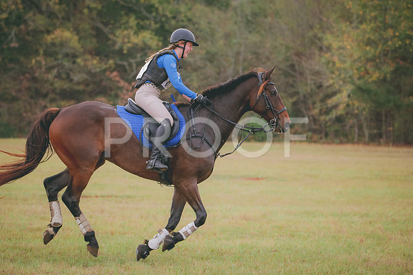 RWP_2713