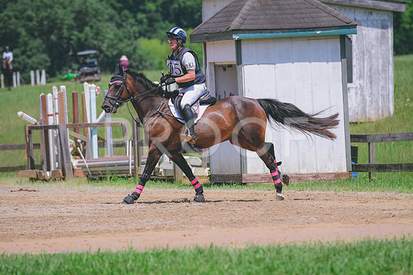 DSC_7436