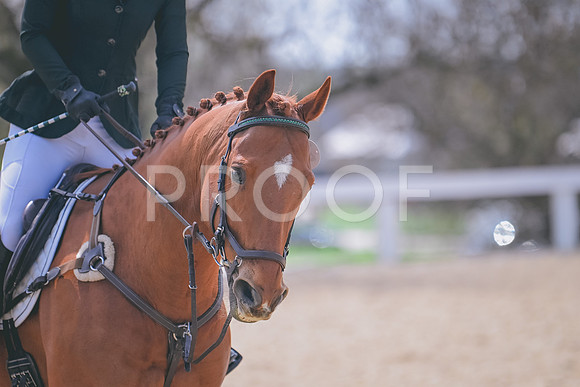 CRB_3411