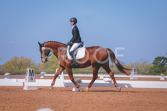 CDP_0381