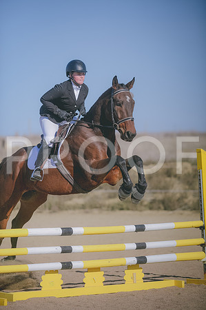 JJS_1243