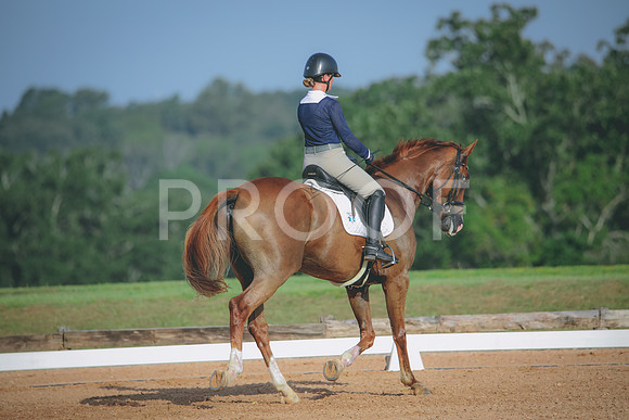 RWP_4429
