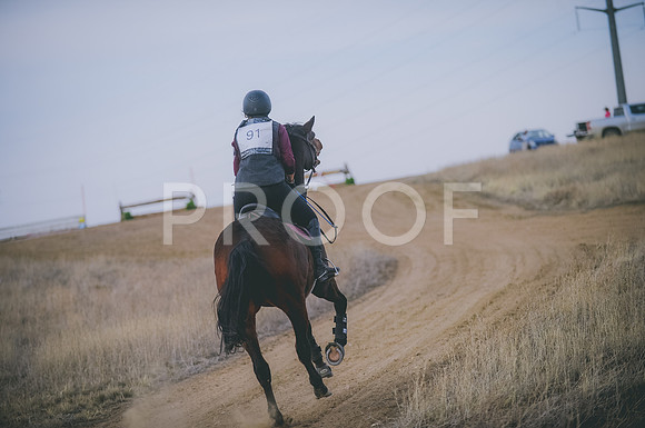 JJS_5518