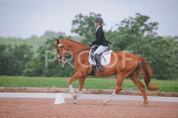 RWP_4478