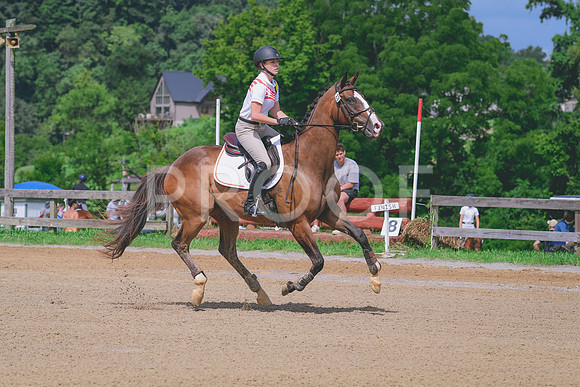 DSC_1200