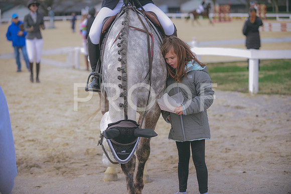 JJS_2885