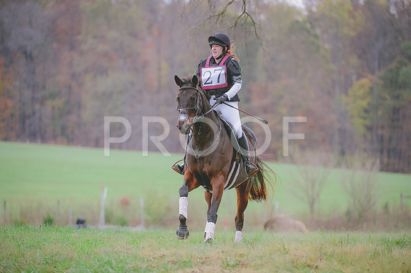 JJS_0388