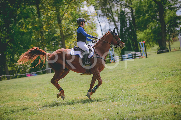 JJS_2449