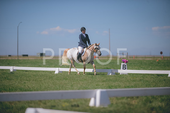 JJS_2678