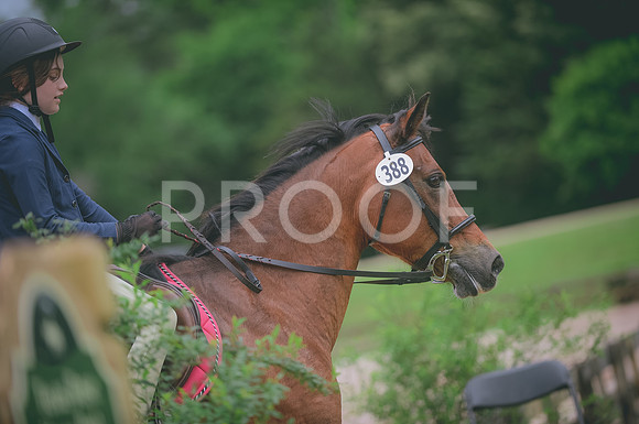 000_3730 copy