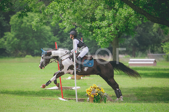 RWP_2381