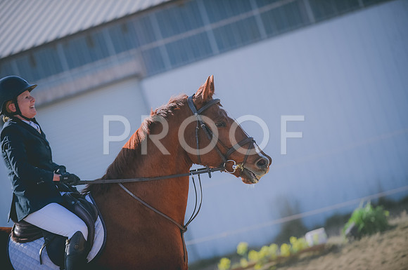 JJS_0038