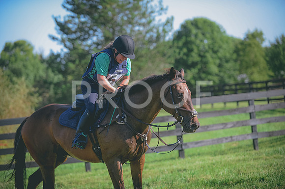JJS_2305