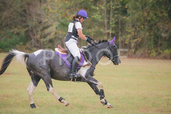 RWP_3372