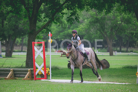 RWP_4042