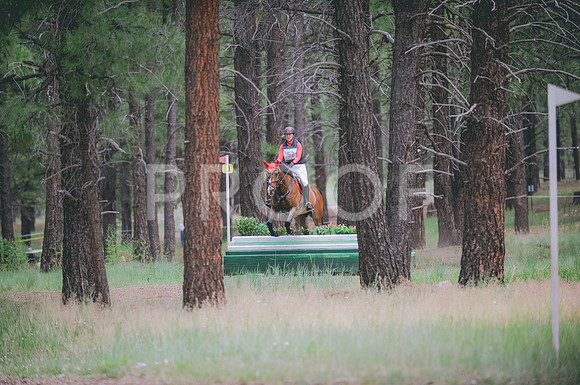 JJS_3067