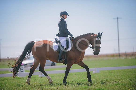 JJS_4291