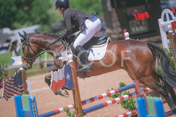 _DSC8776
