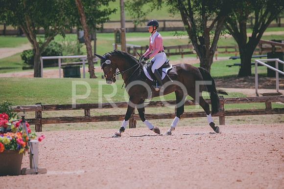 RWP_5621