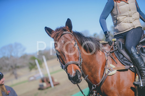 JJS_0348