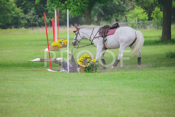 RWP_2807